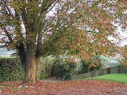 Sidmouth Bed & Breakfast