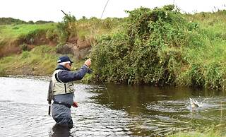 The Lodges at Kilkea Castle