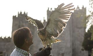 The Lodges at Kilkea Castle