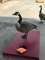 Econo Lodge Inn & Suites Hardeeville I-95