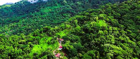 Nature's Edge Boutique Hotel