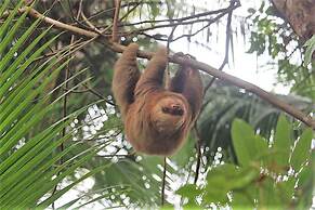 Nature's Edge Boutique Hotel