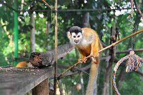 Nature's Edge Boutique Hotel