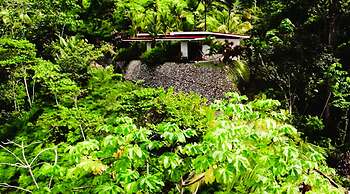 Nature's Edge Boutique Hotel