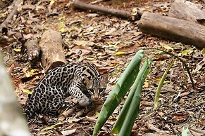 Nature's Edge Boutique Hotel