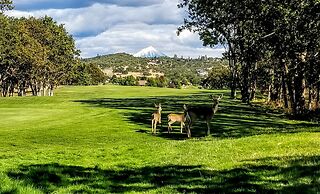 Resort at Eagle Point