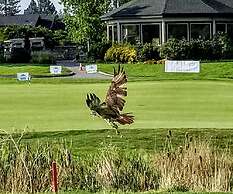 Resort at Eagle Point