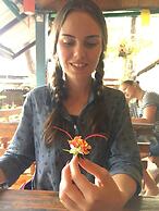 Rapala Rock Wood Resort