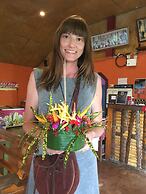 Rapala Rock Wood Resort