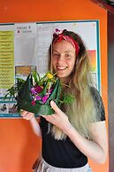 Rapala Rock Wood Resort