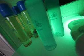 Larimar Boutique Hotel