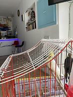 Larimar Boutique Hotel