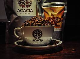 Acacia Tree Lodge