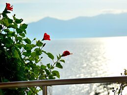 Ibusuki Iwasaki Hotel