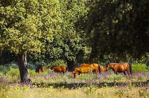 Campanarios de Azaba