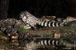 Campanarios de Azaba