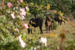 Campanarios de Azaba