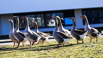 Amrâth Apart Hotel Schiphol Badhoevedorp