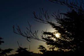 Griffin Phillips Boutique