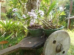 Pousada & Camping Serras Verdes