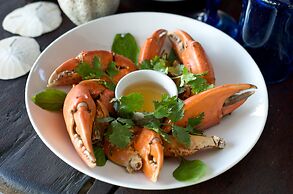 H12 Delta Dunes Lodge