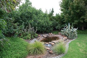 Lochnagar Barossa - Adults Only