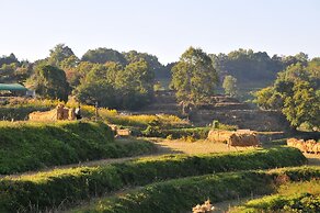 Asuka Guest House - Hostel