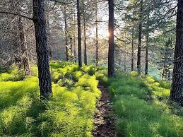 Eyjólfsstaðir Guesthouse Egilsstaðir