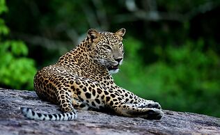 Wild Coast Tented Lodge - Relais and Chateaux