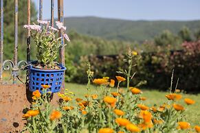 Casa do Porto Carreiro