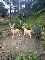 Kazdaglari Karye Müze Otel