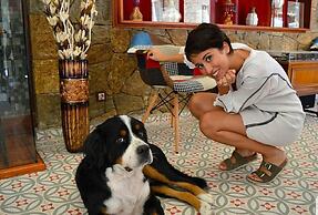 Kazdaglari Karye Müze Otel