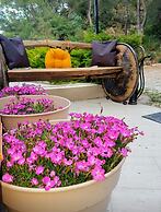 Kazdaglari Karye Müze Otel