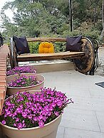 Kazdaglari Karye Müze Otel