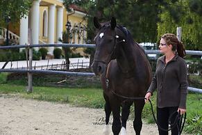 Hotel Plauter Kúria