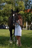 Hotel Plauter Kúria