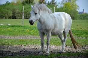 Hotel Plauter Kúria