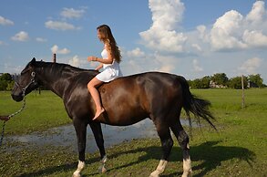 Hotel Plauter Kúria