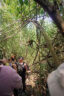 Ecohotel Yachay Tayrona