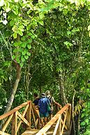 Ecohotel Yachay Tayrona