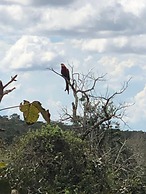 Pousada Jardim da Chapada