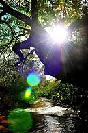 Pousada Casa Da Quineira