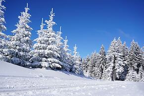 Ski & Spa Bellevue Harrachov