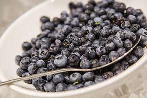 Homewood Suites by Hilton Charleston Historic District