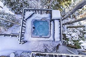 Black Bear Lodge - 5 Bedrooms Home