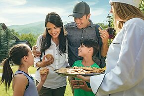 Private Unique On-mtn  4br 4ba 4 Bedroom Cabin by RedAwning