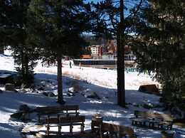 Amazing Ski-In Ski-Out Condo, Pet Friendly - Very Spacious - CM236 by 