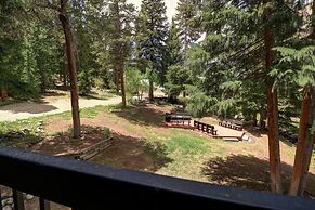 Amazing Ski-In Ski-Out Condo, Pet Friendly - Very Spacious - CM236 by 