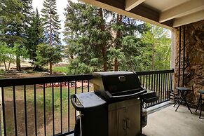 Amazing Ski-In Ski-Out Condo, Pet Friendly - Very Spacious - CM236 by 