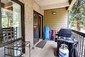 Amazing Ski-In Ski-Out Condo, Pet Friendly - Very Spacious - CM236 by 